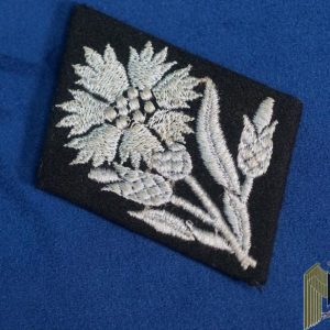 SS Collar tab 22 SS Freiwilligen Kavallerie Division Maria Theresia
