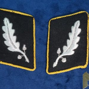 sa standartenführer collar tab set Niederrhein