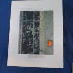 Fabric of A Fokker DVII WW1 German Fighter plane