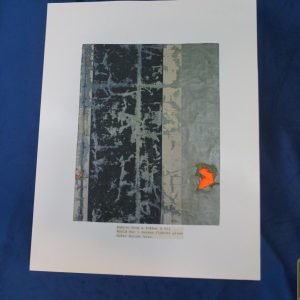 Fabric of A Fokker DVII WW1 German Fighter plane
