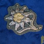 Gebirgsjager edelweiss Bundeswehr Type