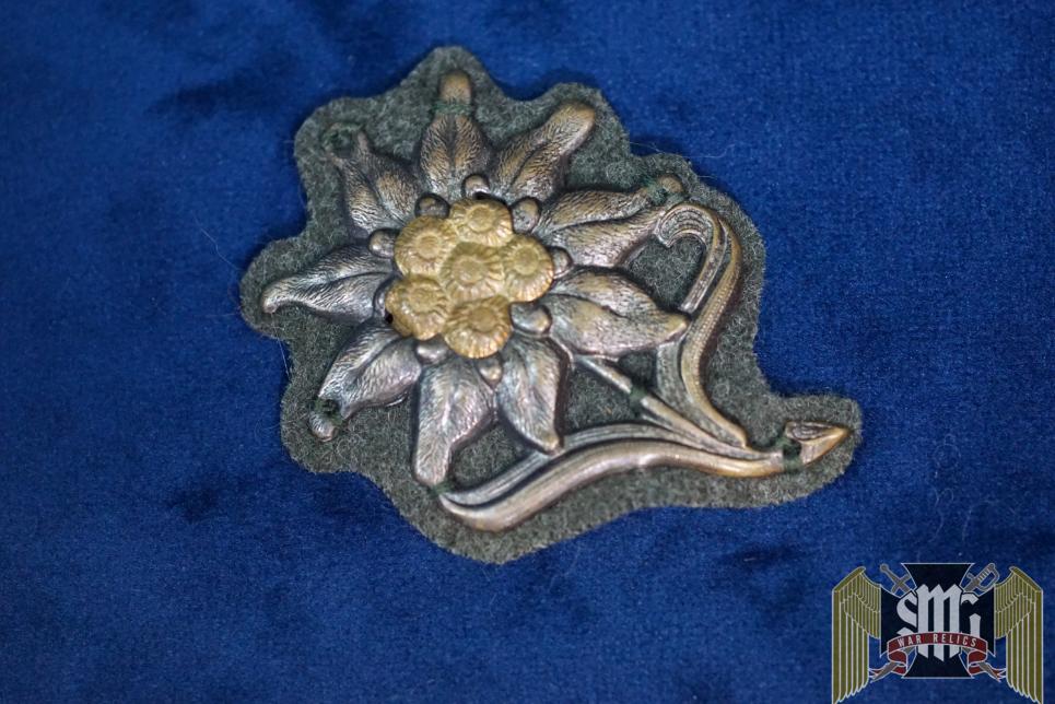Gebirgsjager edelweiss Bundeswehr Type