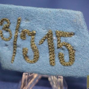 SA Collar Tab for Hochland or Bayerische Ostmark