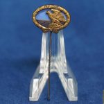 DLRG 10 year stick pin
