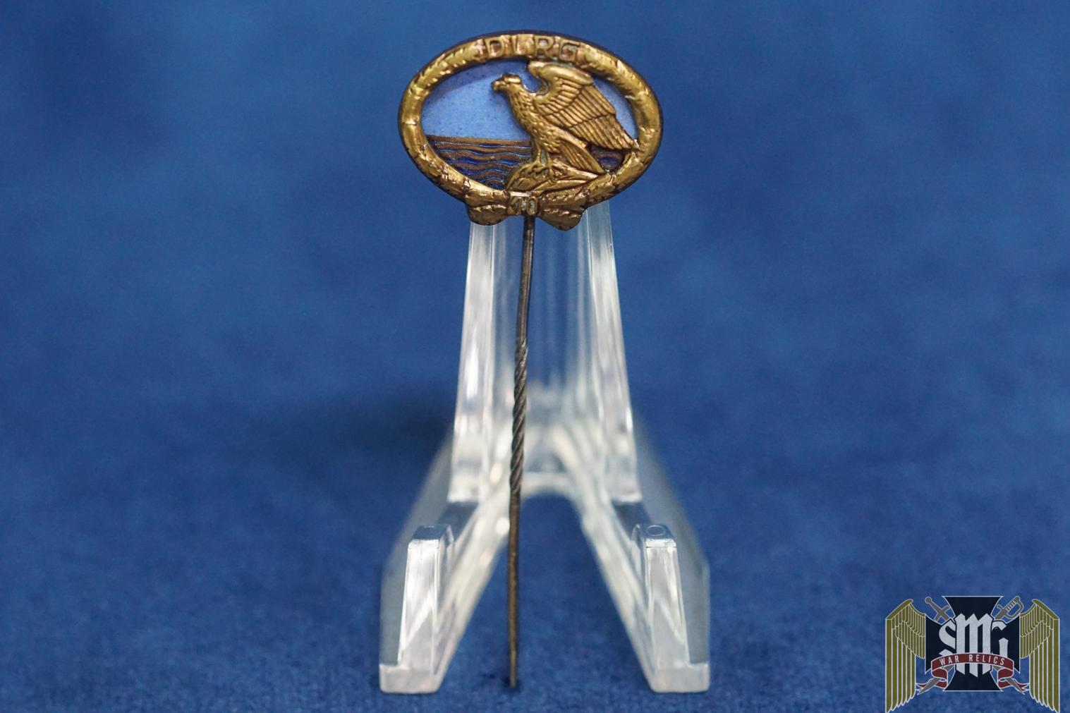 DLRG 10 year stick pin