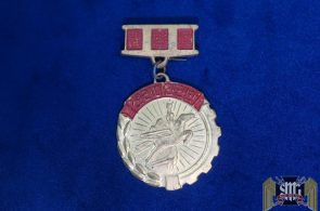 Chollima People's Movement Badge North Korea