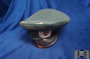 moth Damaged Heer Visor