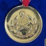 Hungary 35 years military service medal