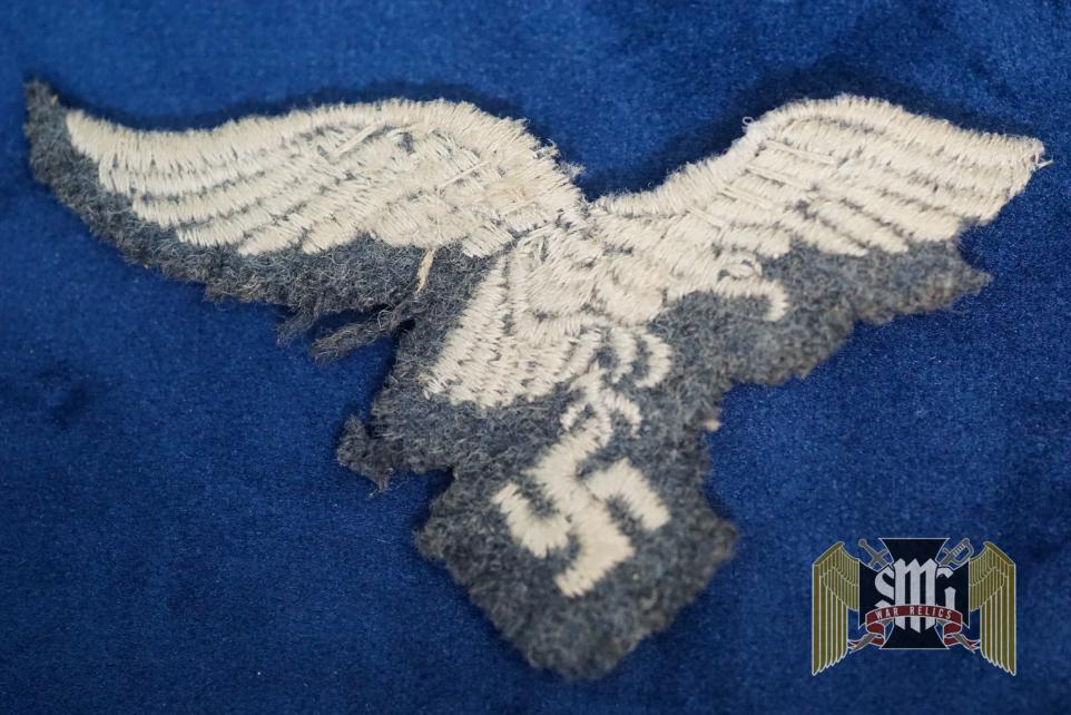 SMGP-2828 Luftwaffe breast eagle with moth damage